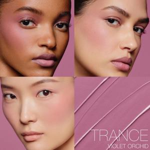 NARS The Multiple